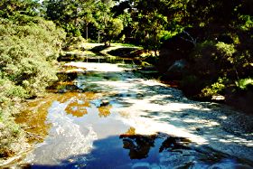 King River view